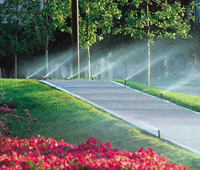 Commercial Irrigation System operating.