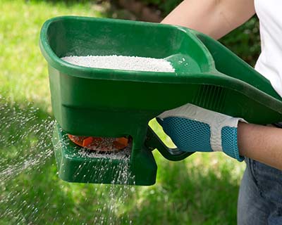 Landscape & Hardscape Services Valrico, FL
